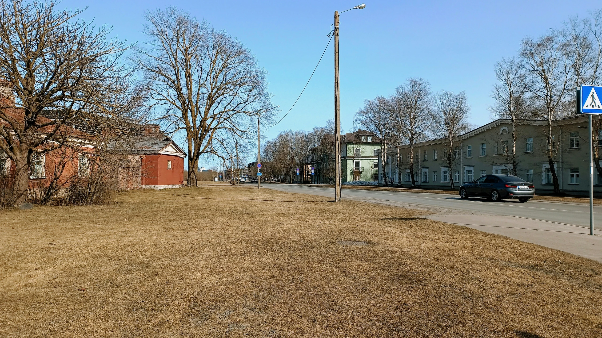 a small street has a dead grass field and houses with no leaves