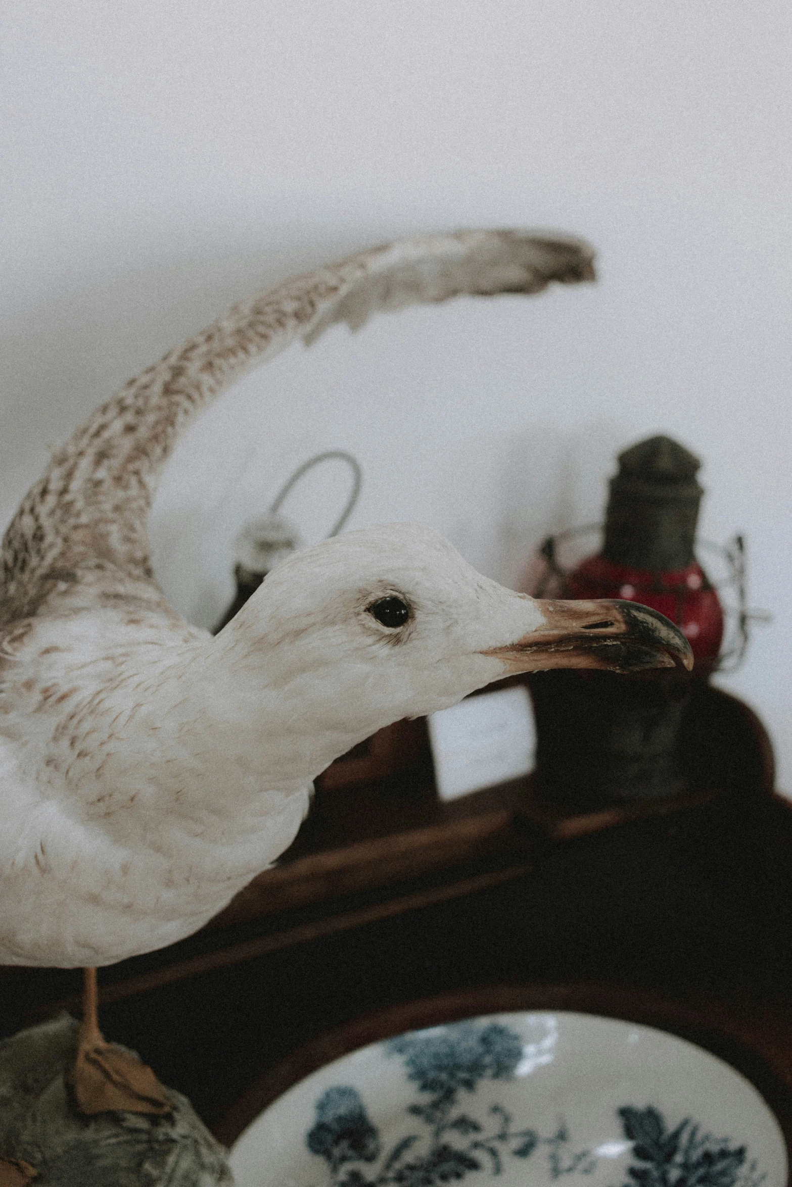 a white bird standing on a blue plate and another ceramic thing in the background