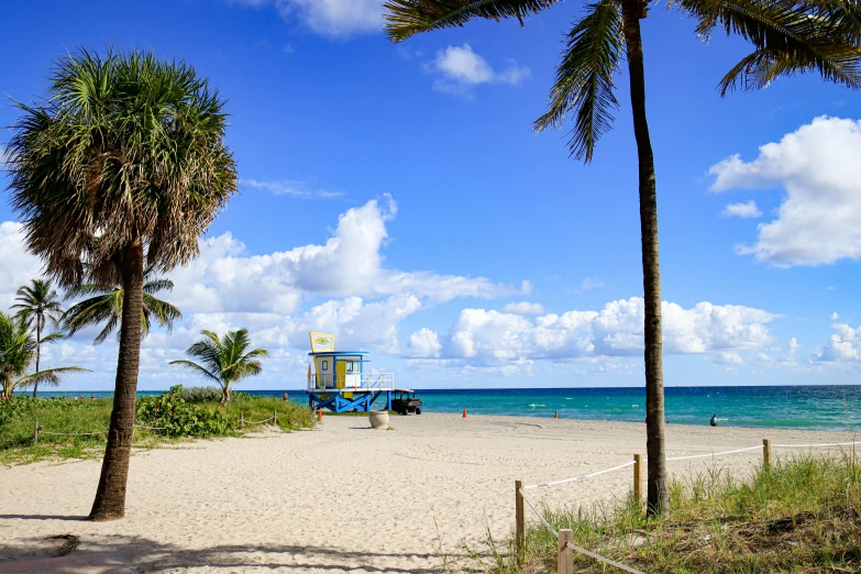 there is a lifeguard tower on the beach next to the trees