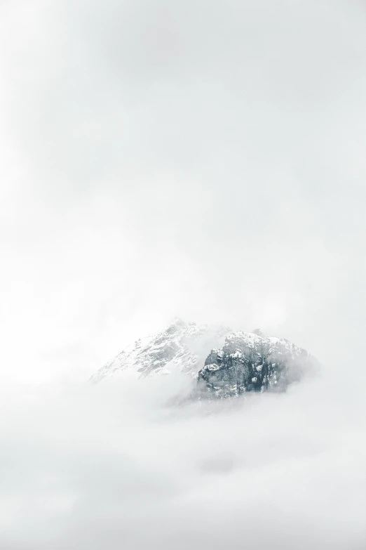 a black and white image of a mountain peak with a tree in the fog