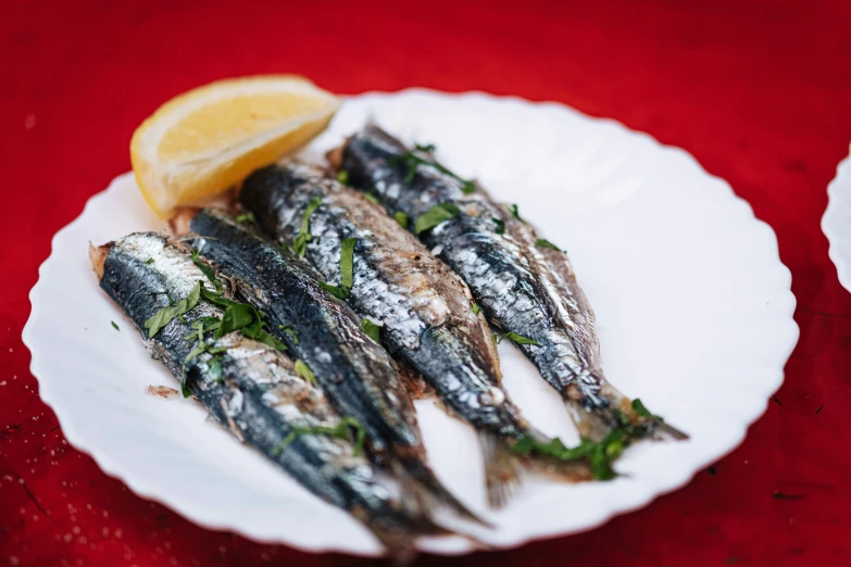 a plate that has some kind of fish on it