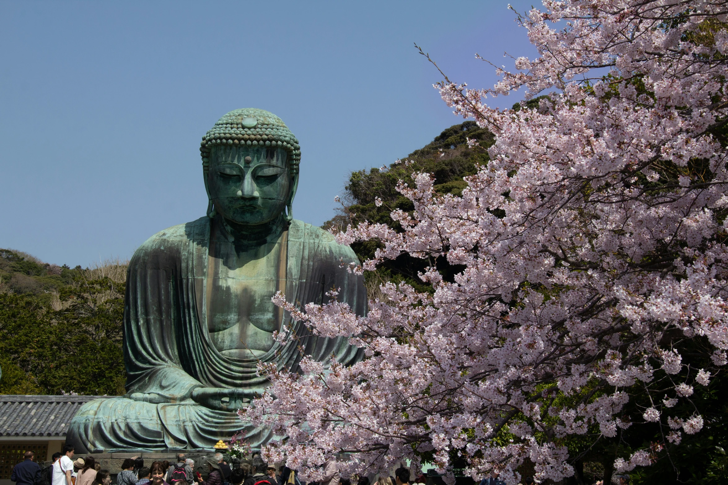 a large statue sitting under a tree with purple flowers