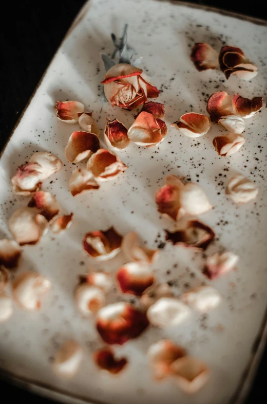 some shells are sitting on the bottom layer of the pan