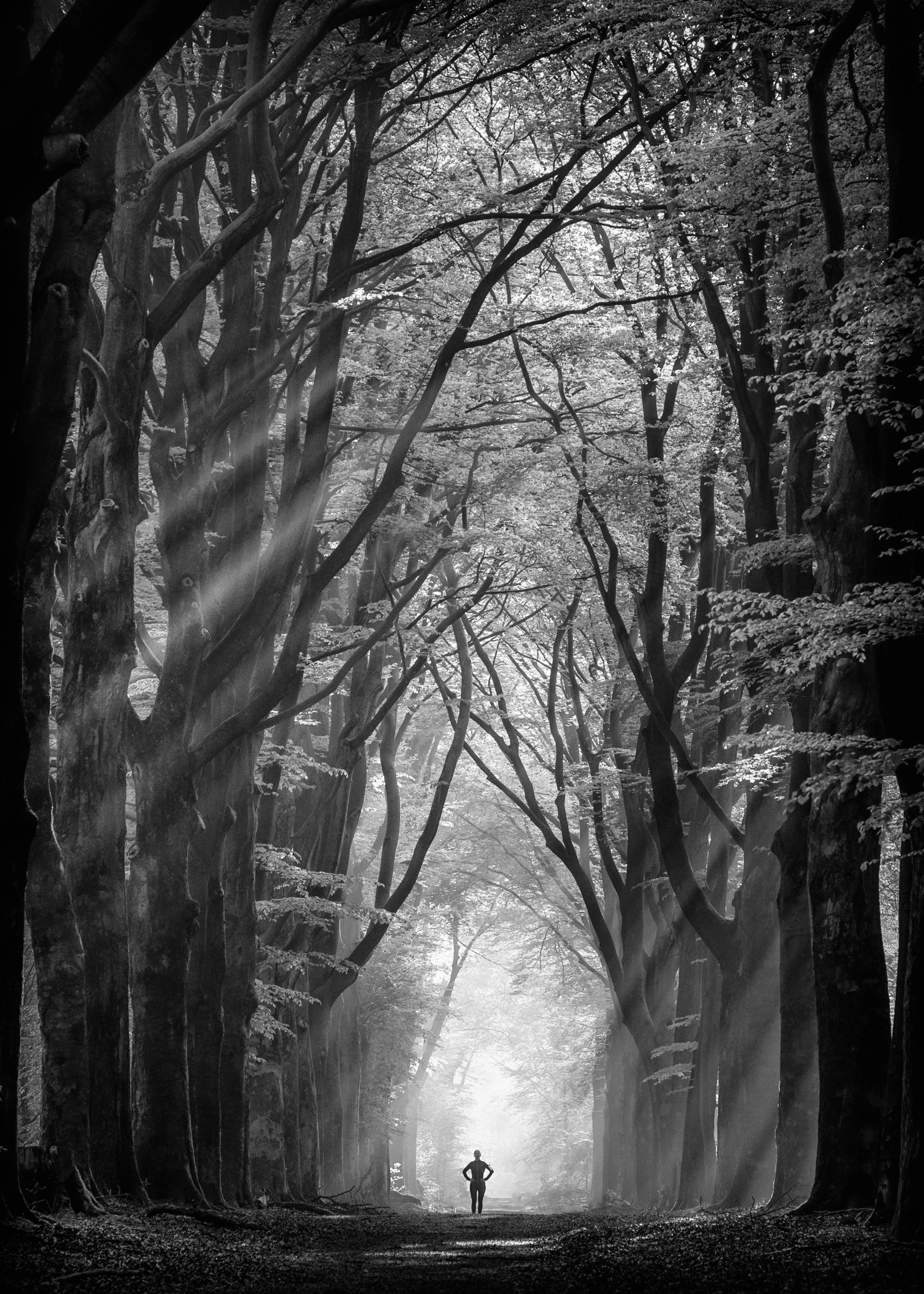 dark, black and white pograph of someone walking through a park