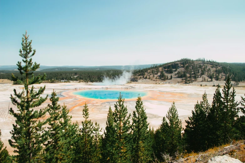 there is a pool of water in the middle of the wilderness