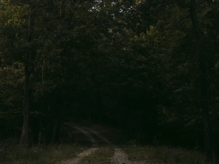 a dark road is seen through some trees