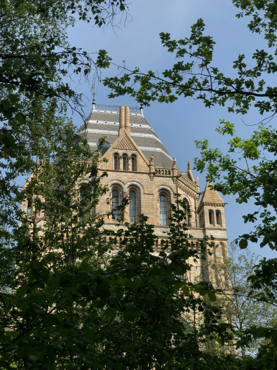 looking up at an old, elaborate architectural tower in the trees