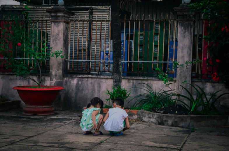 two s sit on a cement slab next to a window with red blinds