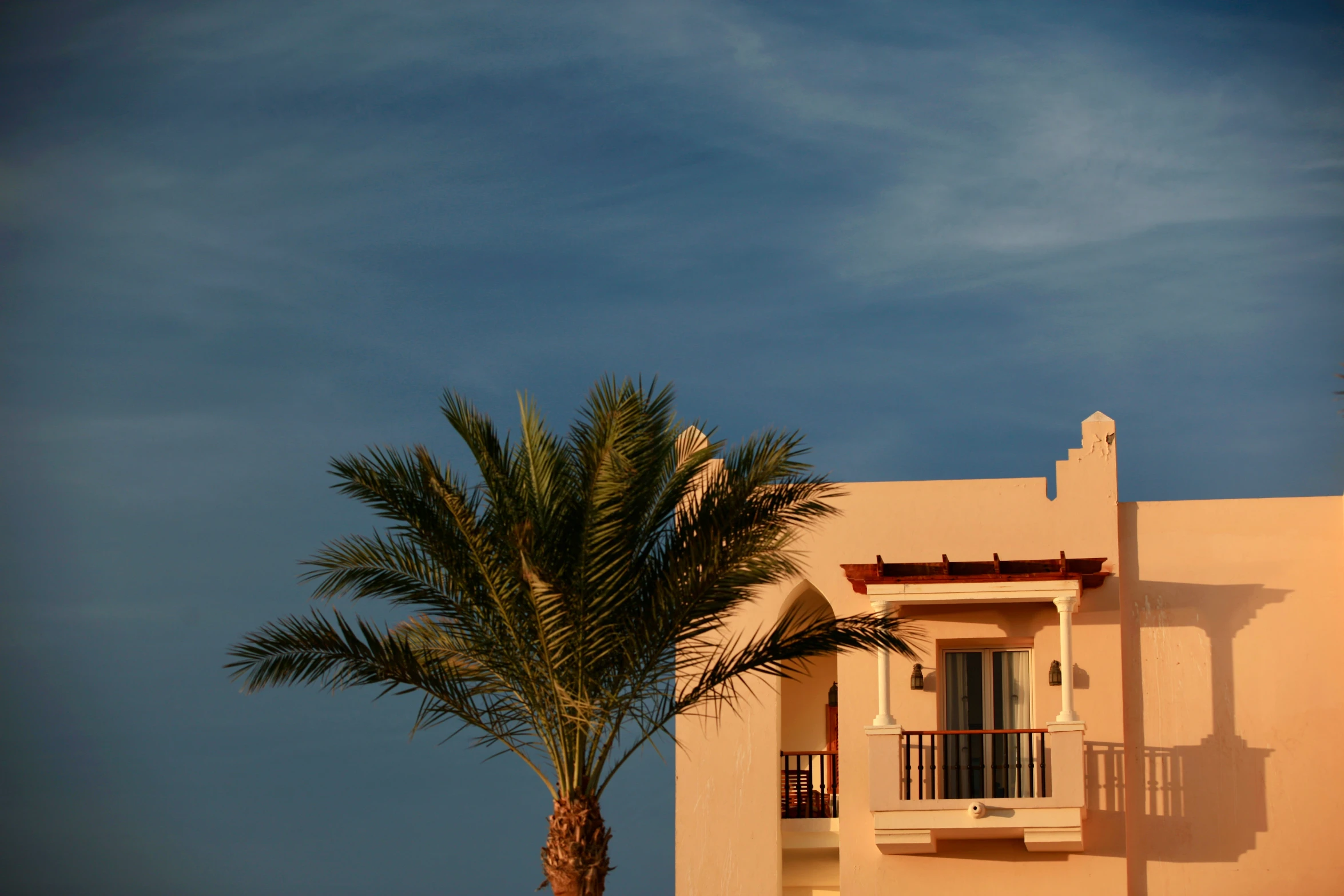 a very large palm tree with a house in the background