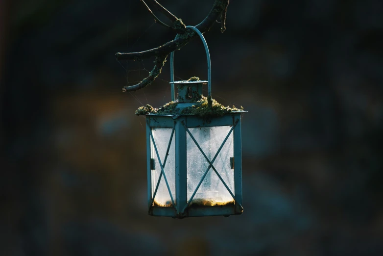 a light fixture filled with greenery next to a tree