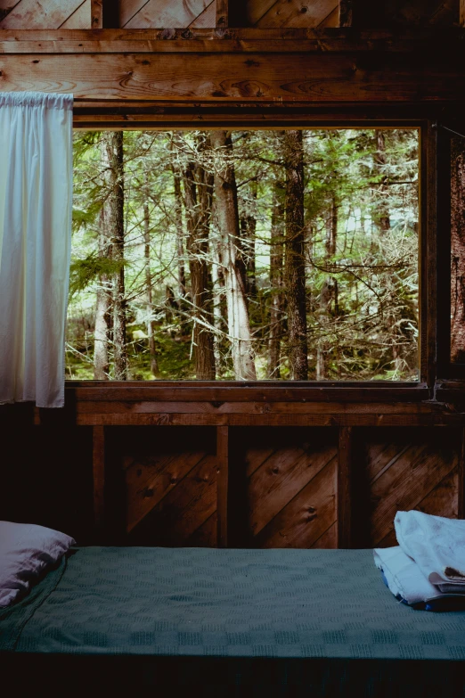 a bed sitting under a window next to a lush green forest