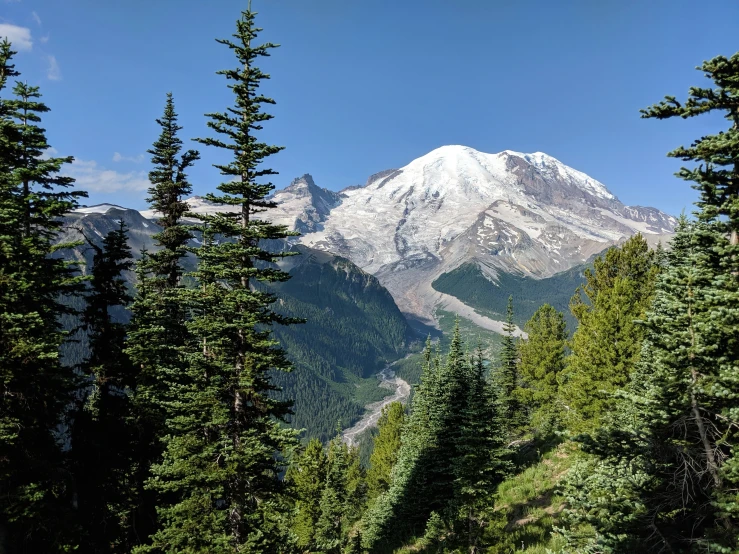 a mountain with a forest of trees and some mountains