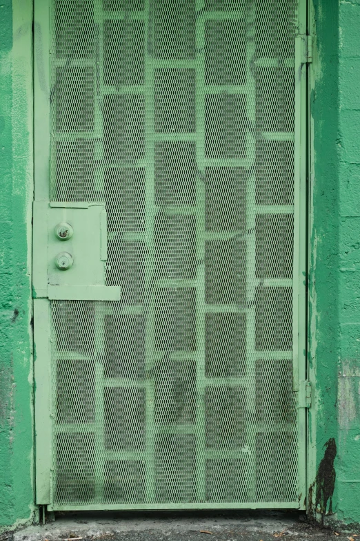 an outside door with grate on it, and a cat in front of the entrance
