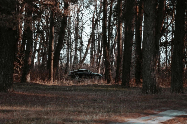 a car is parked in the middle of the forest