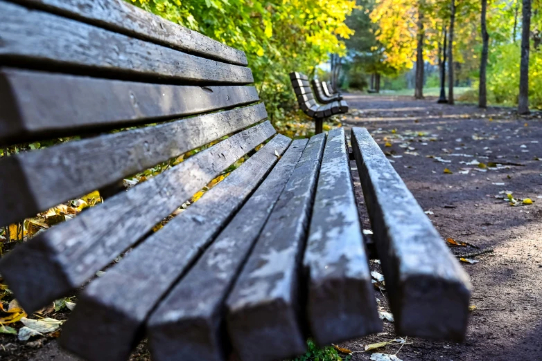 an empty wooden bench in a park on a sunny day