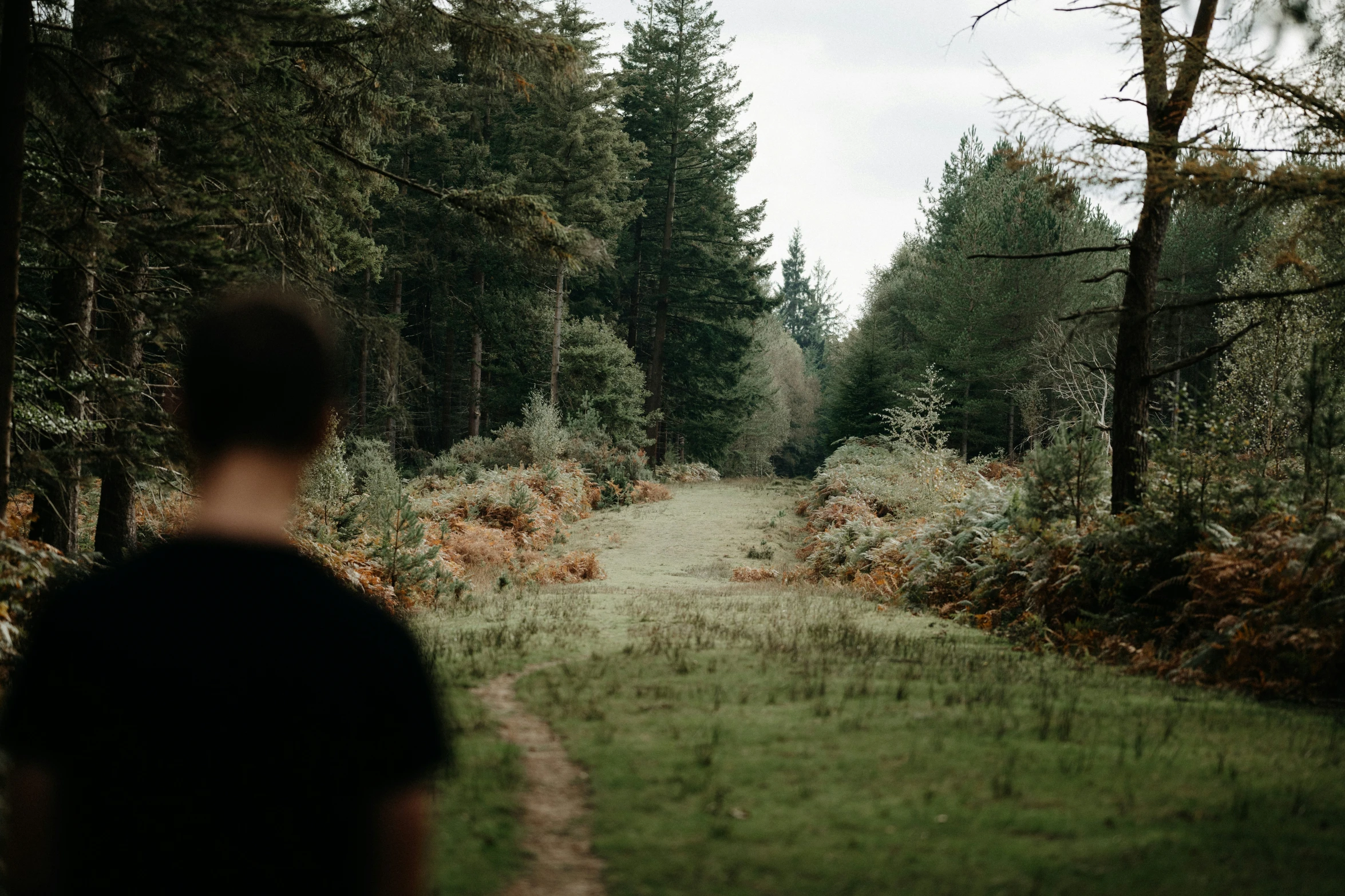 there is a man walking down the pathway in the woods