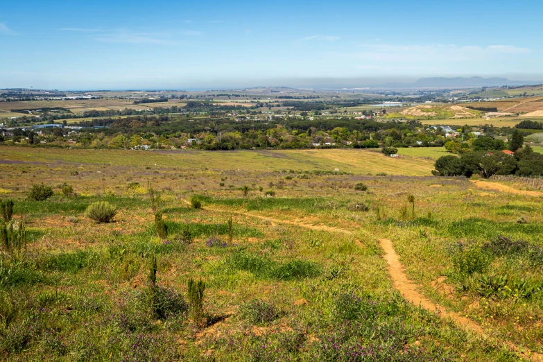 a large field that is full of green grass