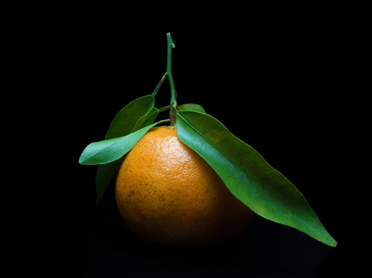 an orange with a green stem on it