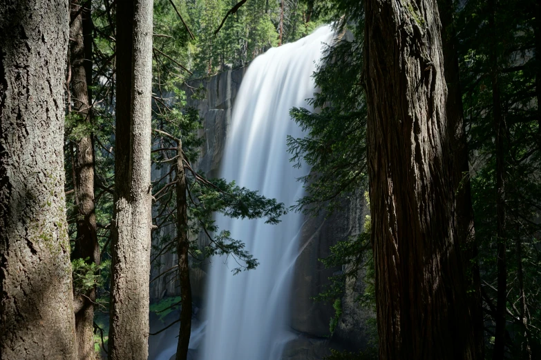 an image of waterfall scene in the forest