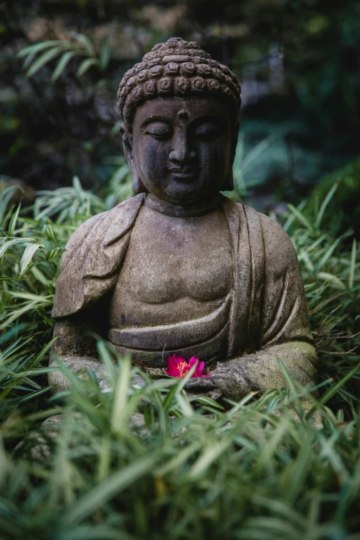 a buddha statue sitting in the middle of grass