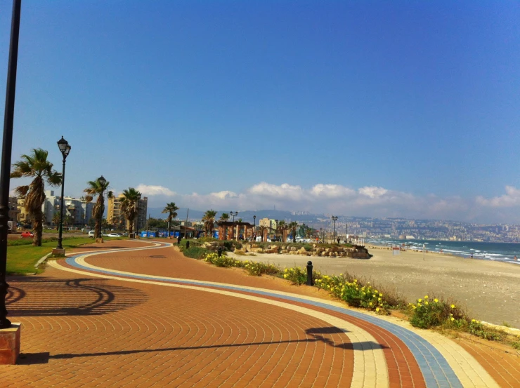 curved walkway along a beach lined with palm trees