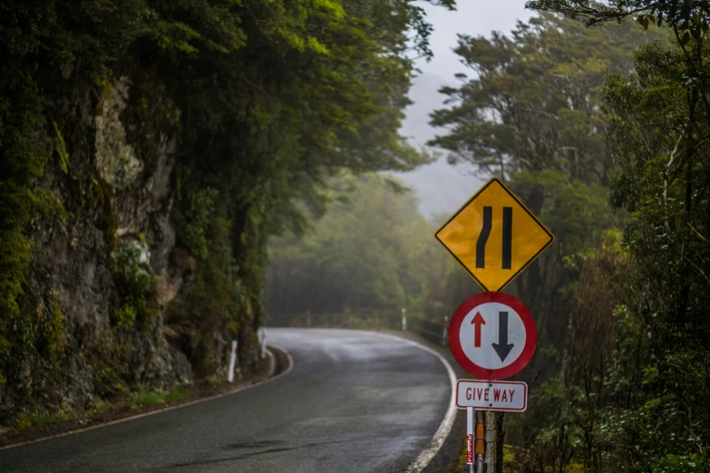 a curved road on a rainy day in the middle of nowhere