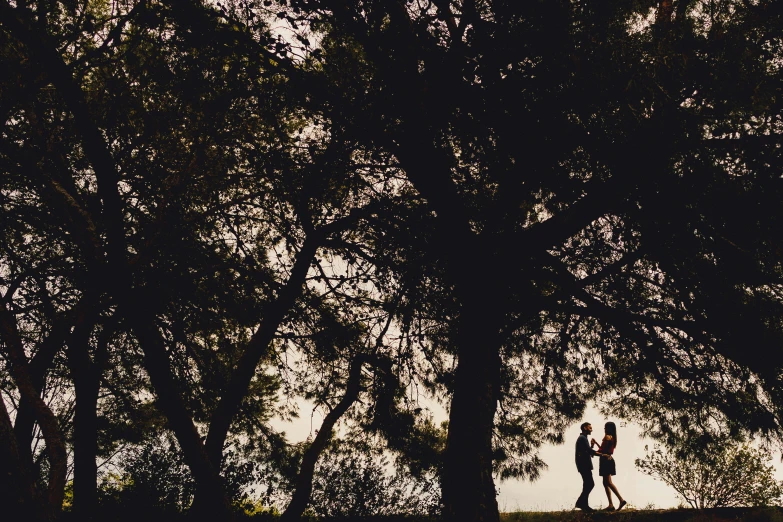 two people are standing between two trees by the water