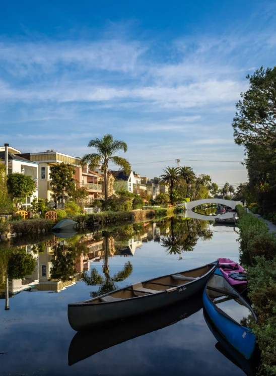 rowboats tied to the bank in front of a body of water