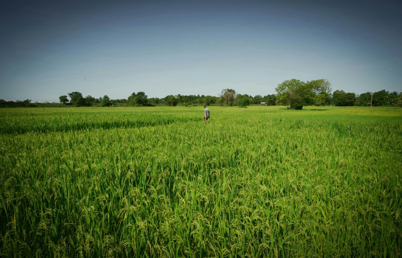 two people standing in the middle of a large grass covered field