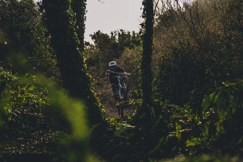 a person on a bike riding through some bushes