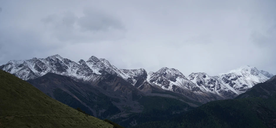 a snowy mountain landscape with green trees and bushes