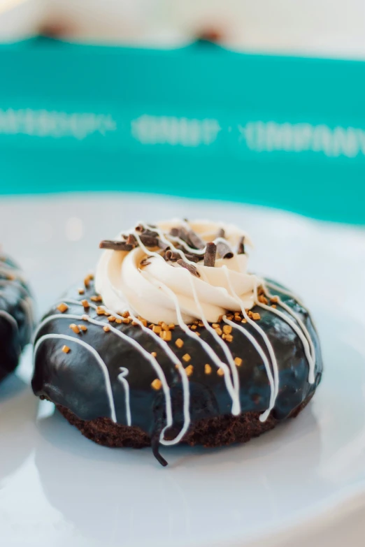 two chocolate donuts that have icing and sprinkles