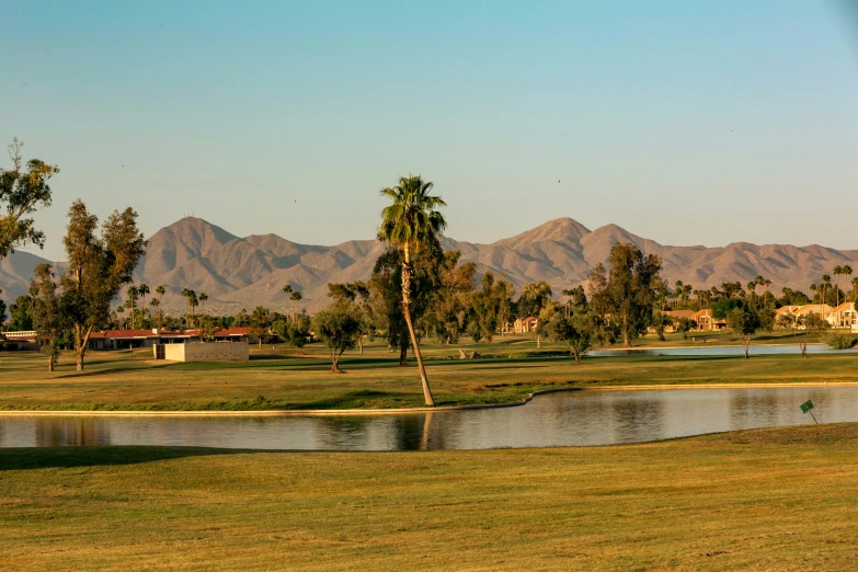 palm trees in the foreground, lake and mountains with homes in background