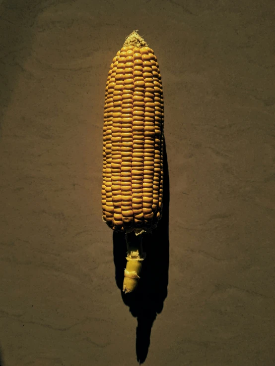 there is a big ear of corn