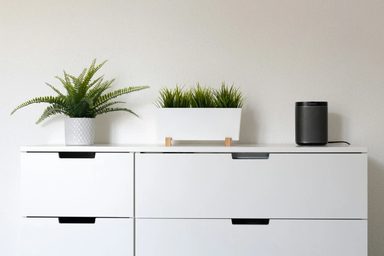 two planters on top of a white dresser