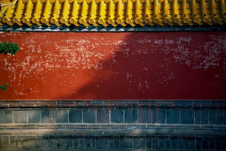 a very red wall with some plants growing by it