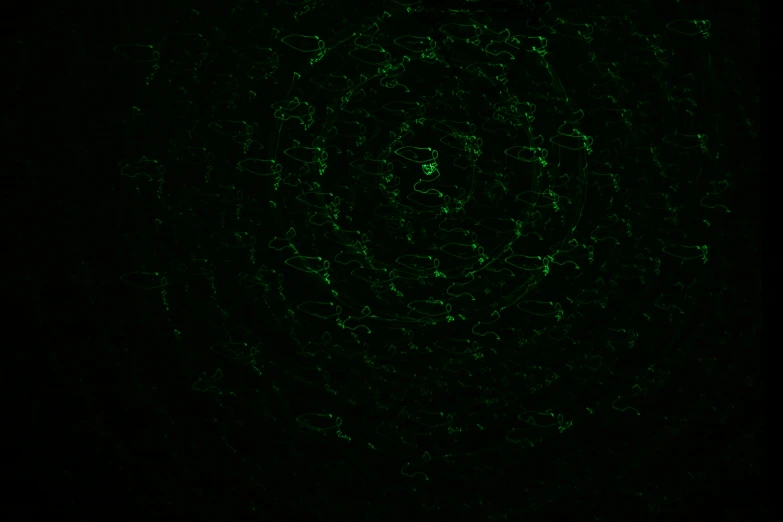 the green and black background has circles and stars on it