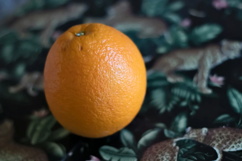 an orange is sitting on top of some leaves