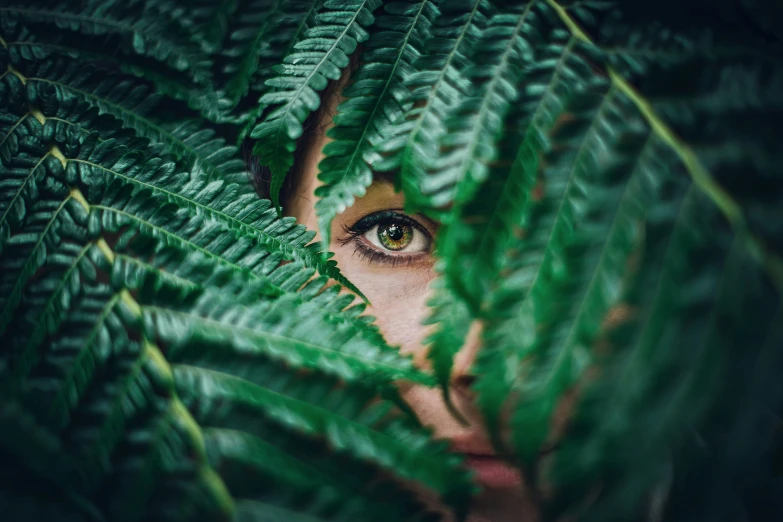 a woman peeking through the green leaves