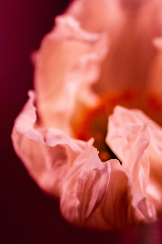 a large flower that is next to a table