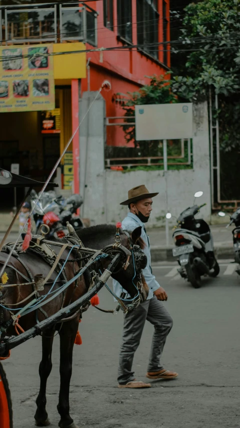 a person on the street by a horse