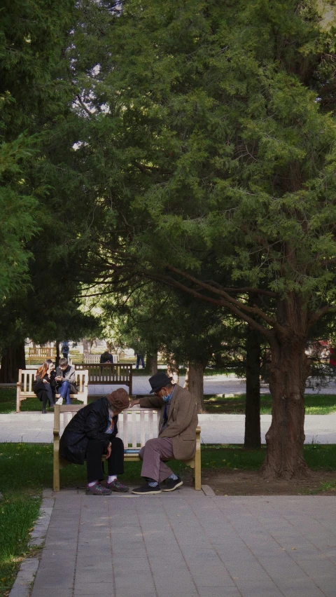 two people sitting on a bench under a tree