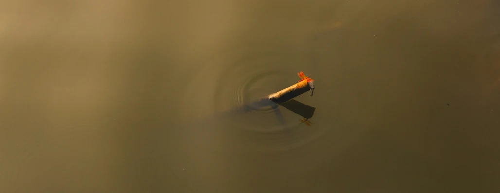 a single orange object floating in a body of water