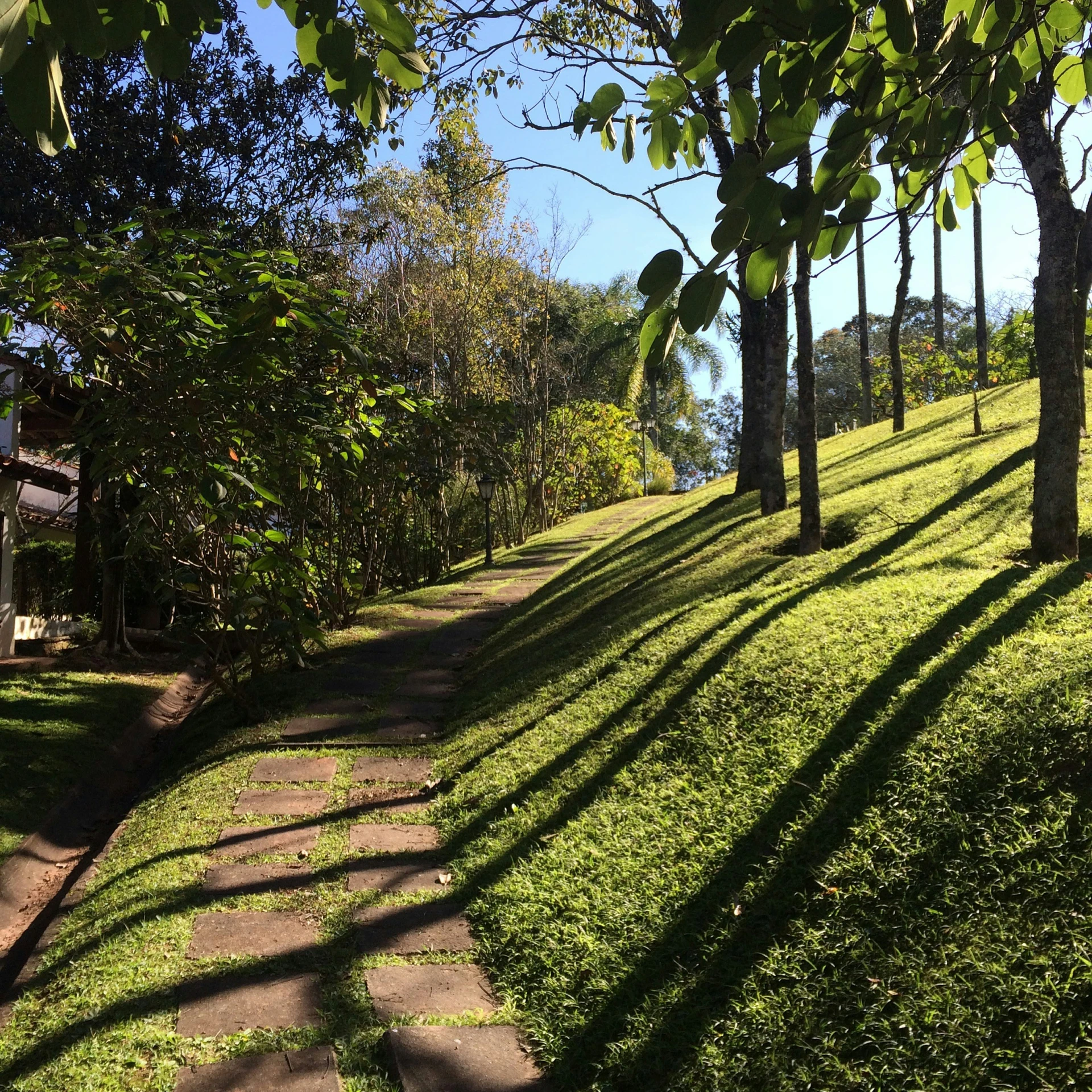 a path next to some grass on a hill