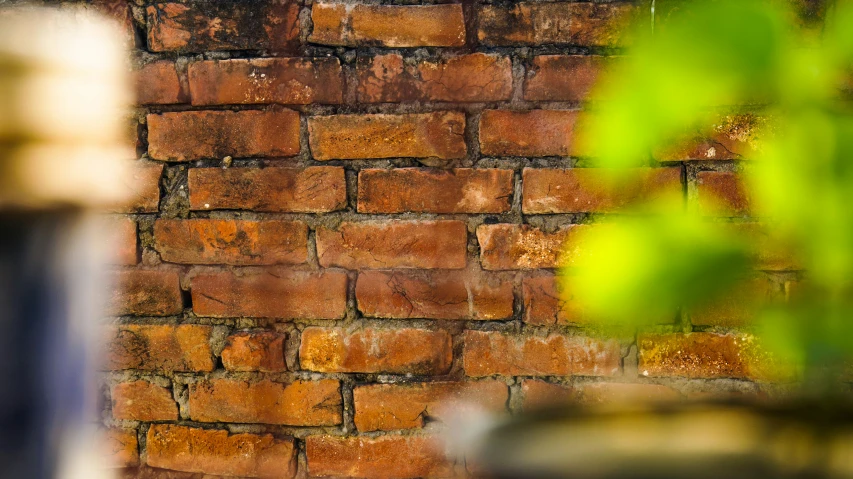 a brick wall with a potted plant on the right