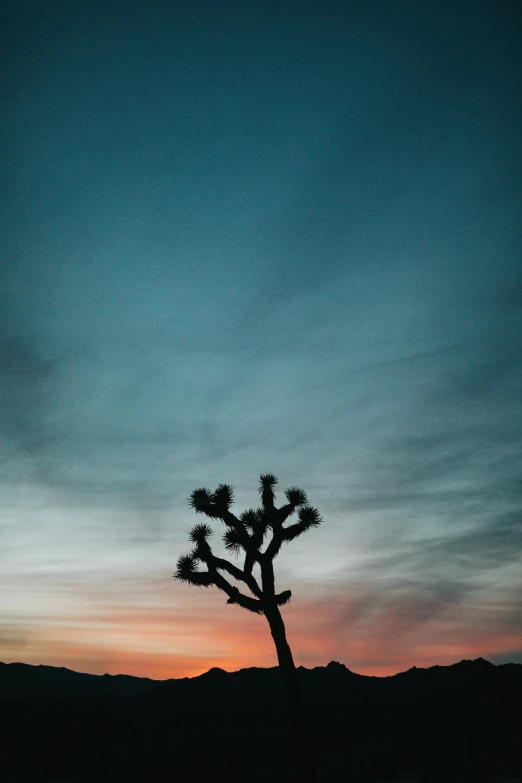 silhouette of a lone tree against a blue sky