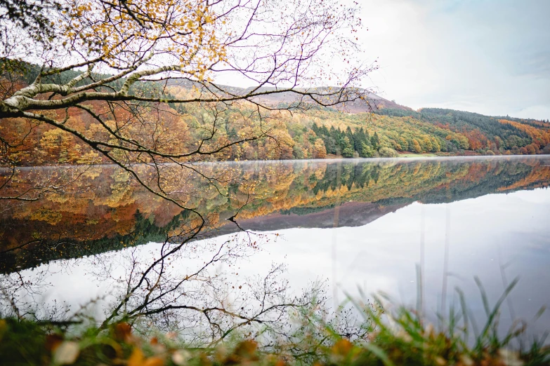 a mountain lake is surrounded by lots of trees