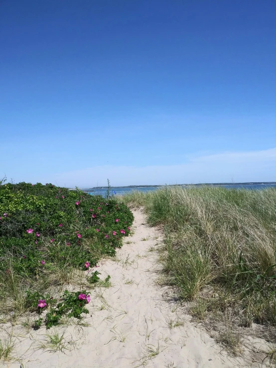 a path that is through the sand to a beach