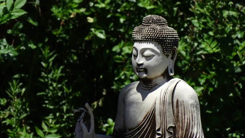 a statue of buddha is sitting by some trees