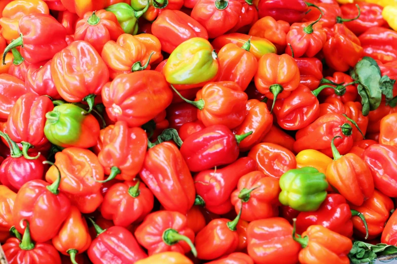 this is a bunch of red, yellow and green peppers